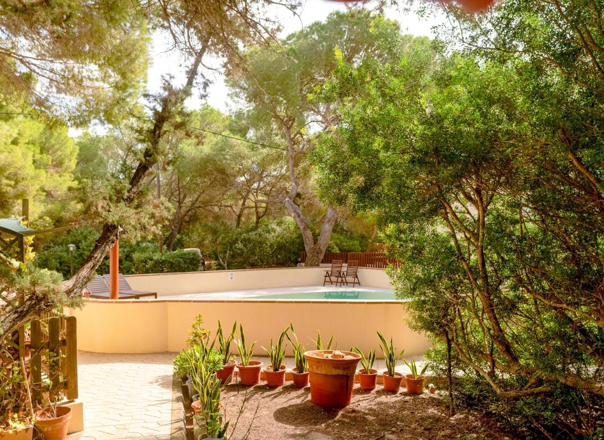 Apartamentos El Pino - Formentera Break Es Calo  Ngoại thất bức ảnh